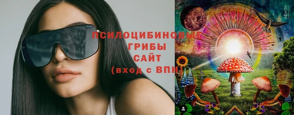 эйфоретик Аркадак