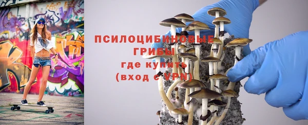 эйфоретик Аркадак