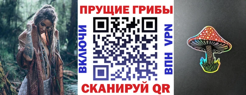 Псилоцибиновые грибы GOLDEN TEACHER  нарко площадка состав  Барабинск  купить наркотики цена 
